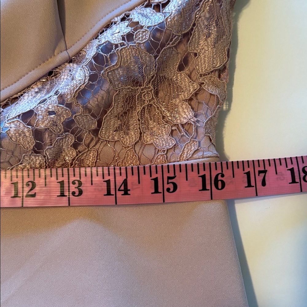 Pale Pink Lace Semi Formal Mermaid Full Length Dress Size 14 Petite - Picture 7 of 8